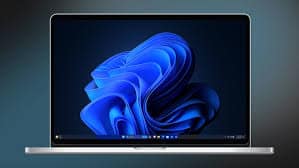 windows 11