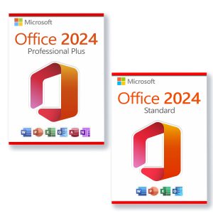 Microsoft Office 2024 Standard + Microsoft Office 2024 Professional Plus license pour 3 PCs