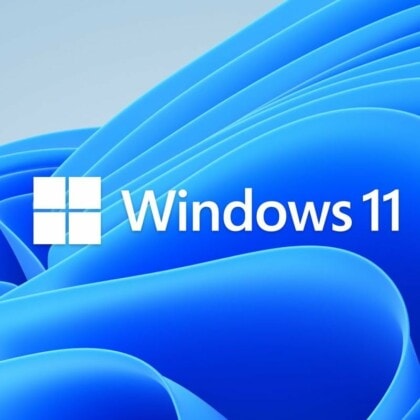 Microsoft Windows 11 Professional Lizenz für 3 PC